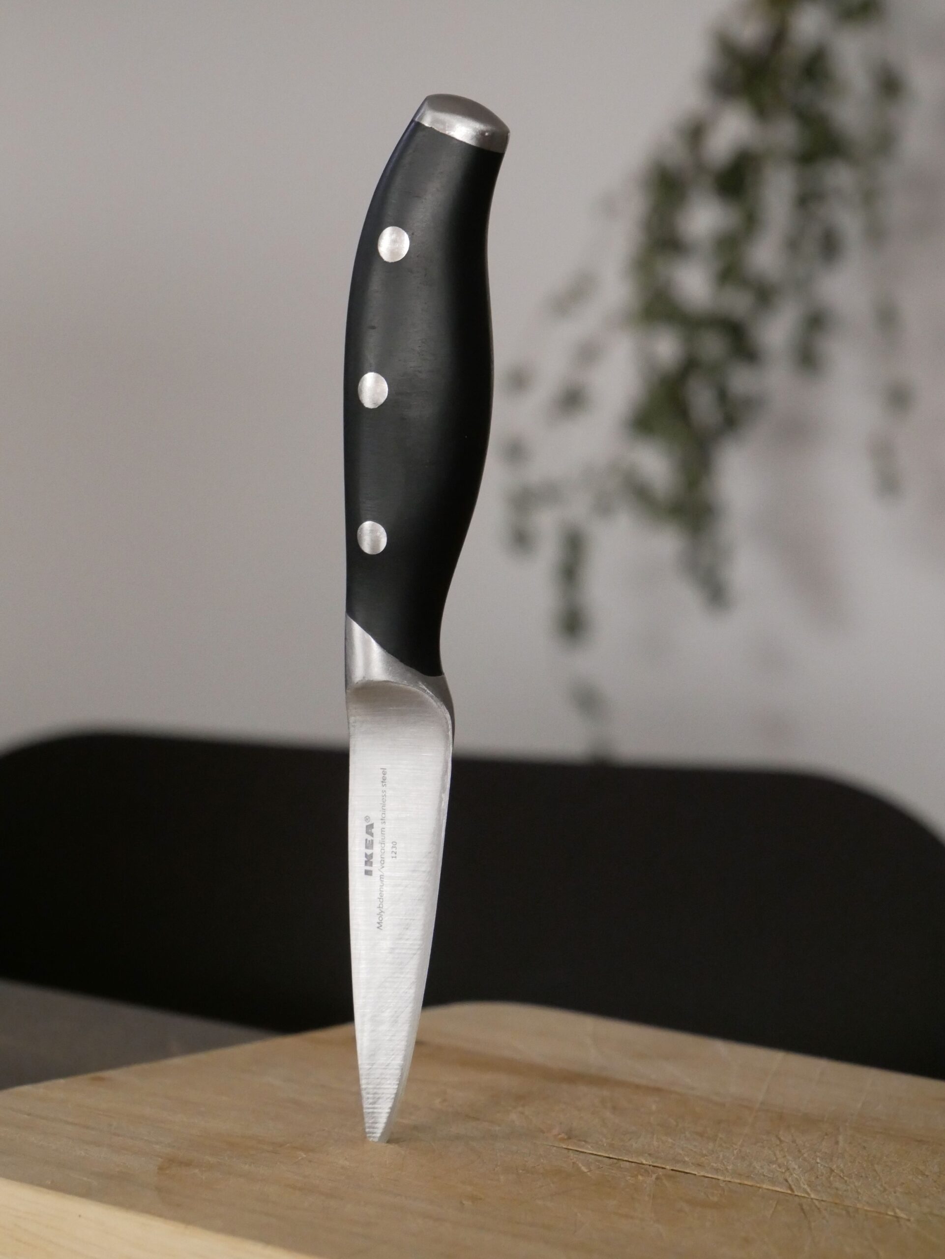 Kitchen knife ready for professional edge restoration
